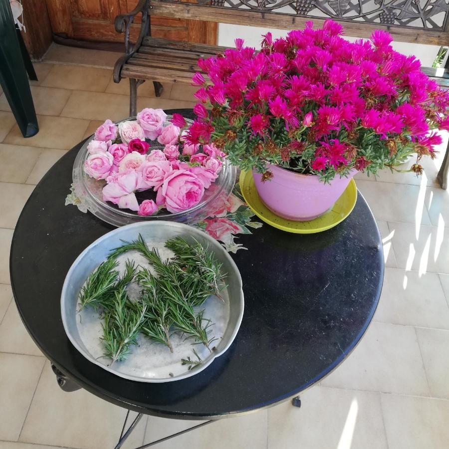 North Evia Evanthia Greece Kourkouli Bagian luar foto